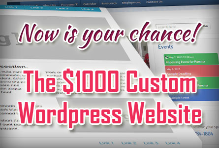 $1000 Custom Website!